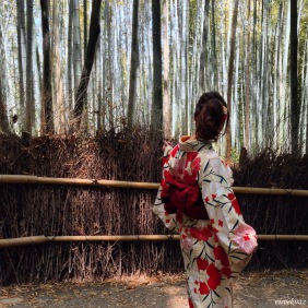 Bambu ormanı, Arashiyama
