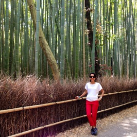 Bambu ormanı, Arashiyama